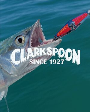 Clarkspoon